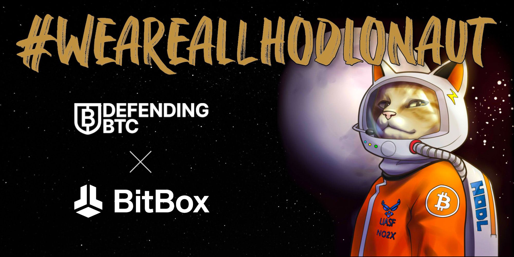 Unterstützung für Hodlonaut bei der Verteidigung von Bitcoin