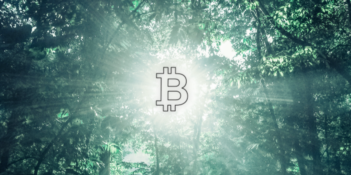Prepara tus bitcoines; para tus herederos