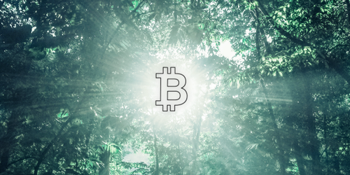 Prepara tus bitcoines; para tus herederos